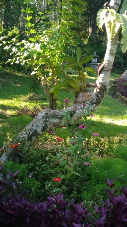 Balian Bliss Retreat Resort - Adults Only Exteriör bild