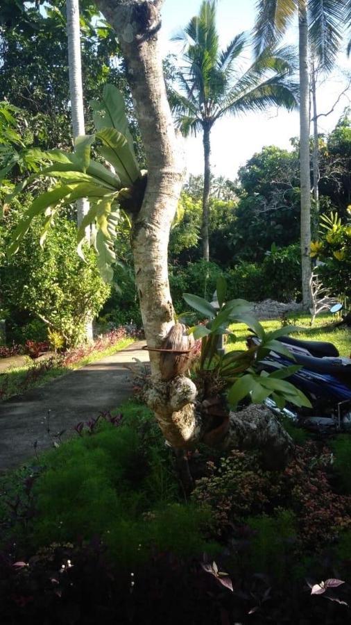 Balian Bliss Retreat Resort - Adults Only Exteriör bild