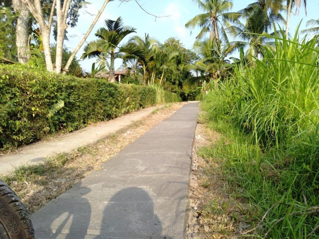 Balian Bliss Retreat Resort - Adults Only Exteriör bild