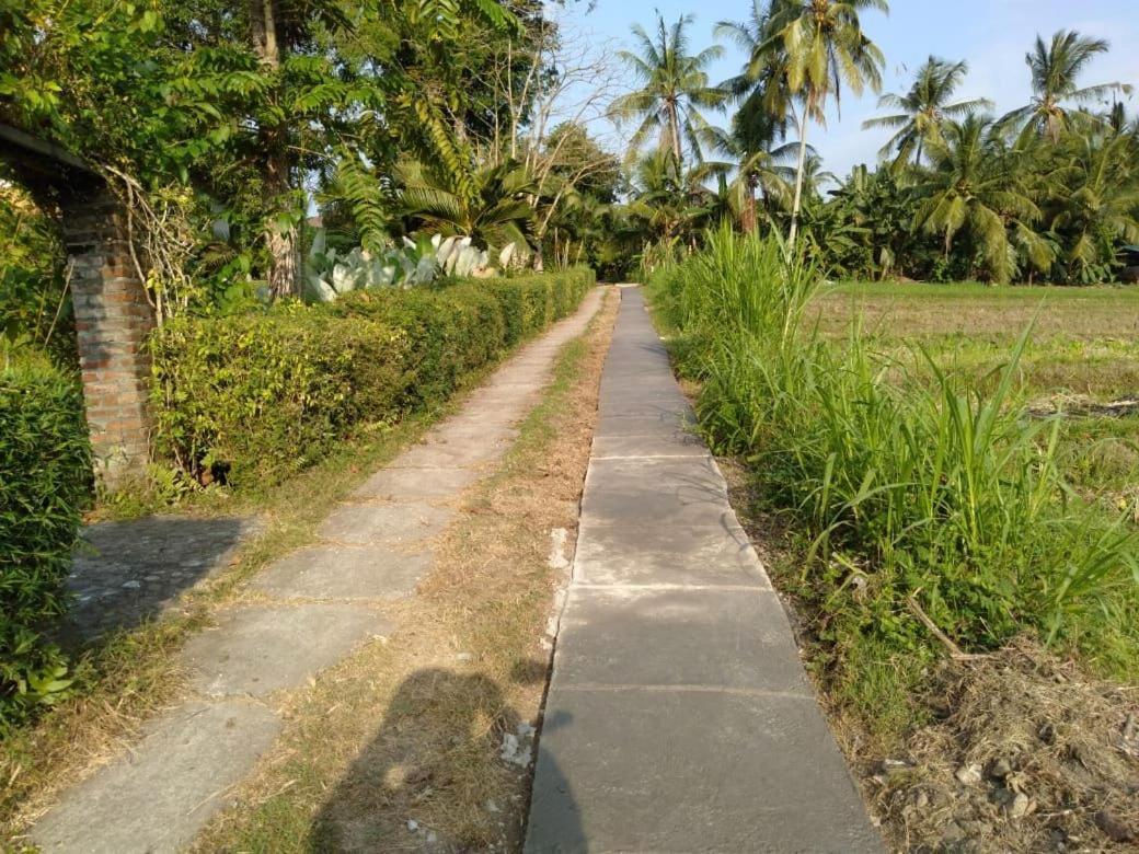 Balian Bliss Retreat Resort - Adults Only Exteriör bild